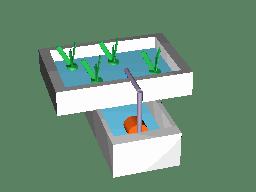 水培蔬菜种植的基础知识,水培蔬菜家庭版水培生菜