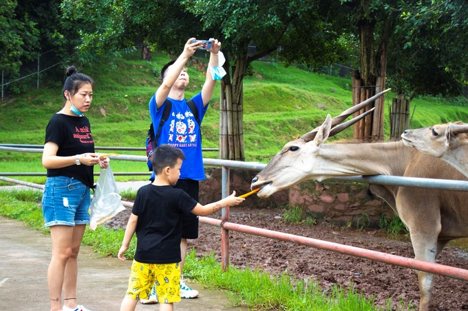 儿童亲子游怎么玩,室内亲子游必玩100例
