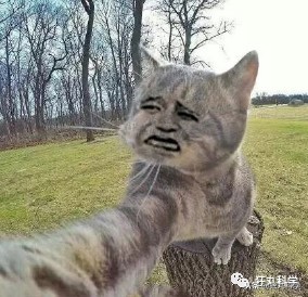 工程师制作闪光臭屁包裹，专治偷快递的*贼毛**