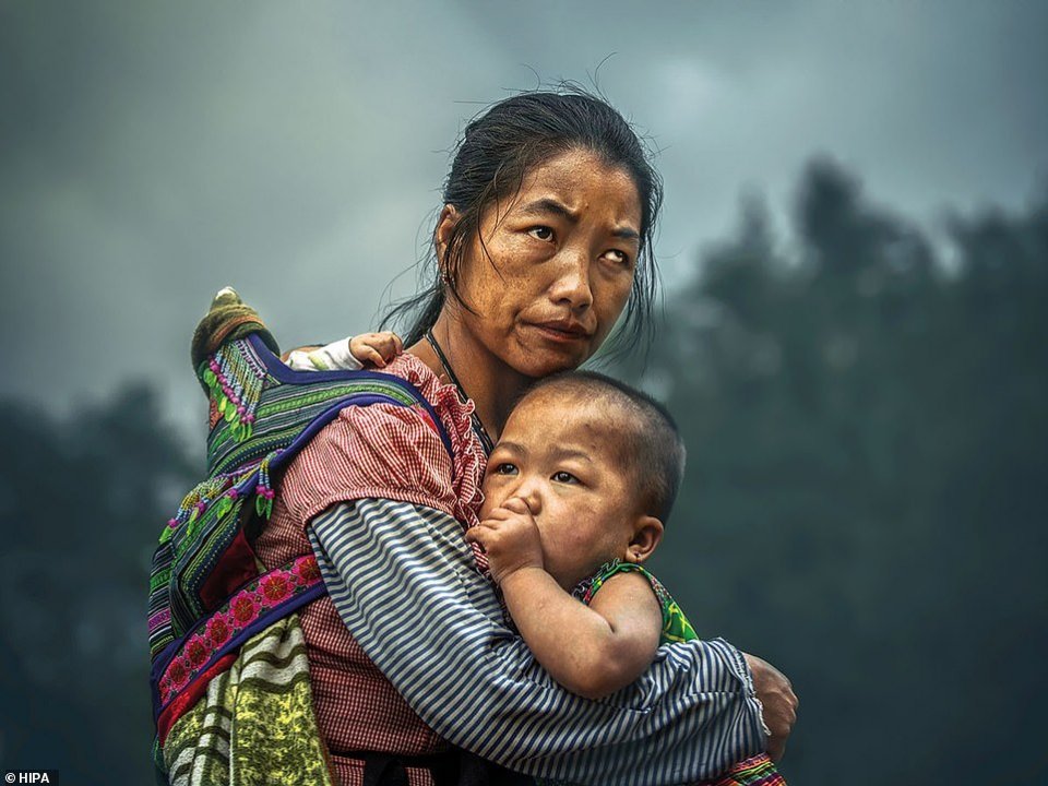 人物摆拍骗大奖,野生动物摄影造假