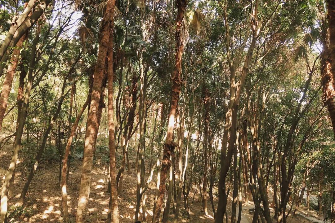 在动物园散步才是正经事|暴走福州