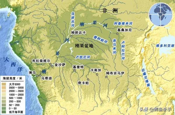 亚马逊河里面的最厉害的电鳗,为什么电鳗没能称霸亚马逊河