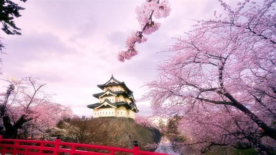 马上就清明节放假了，来场“樱花宴”吧！