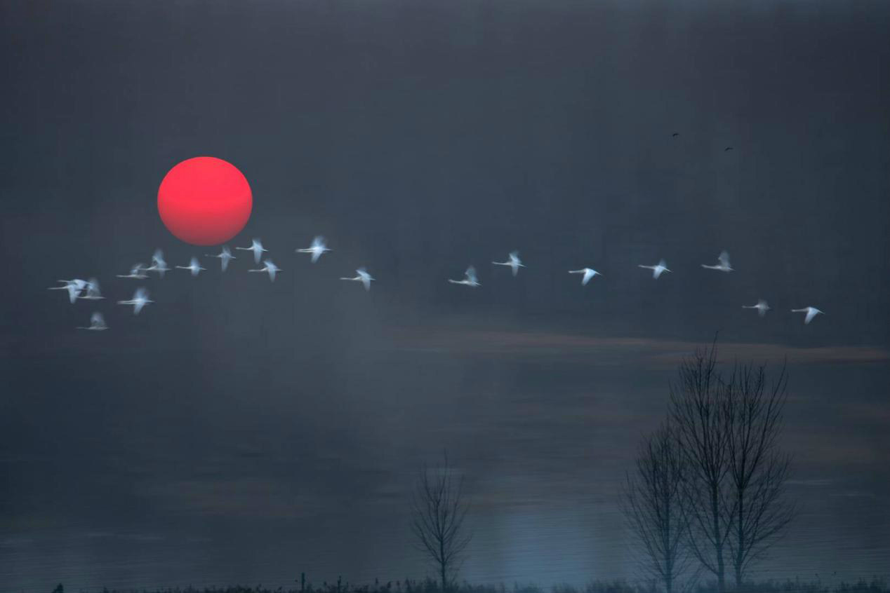 生态摄影师相机,生态摄影著名摄影家