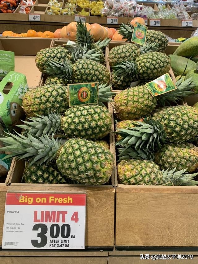 加拿大多伦多costco购物必买 (加拿大必买超市)