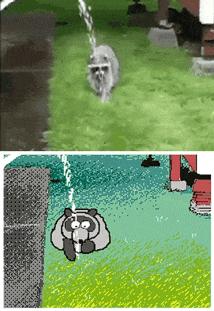 朋友圈九宫格喜感视频,开心到模糊的搞笑动图