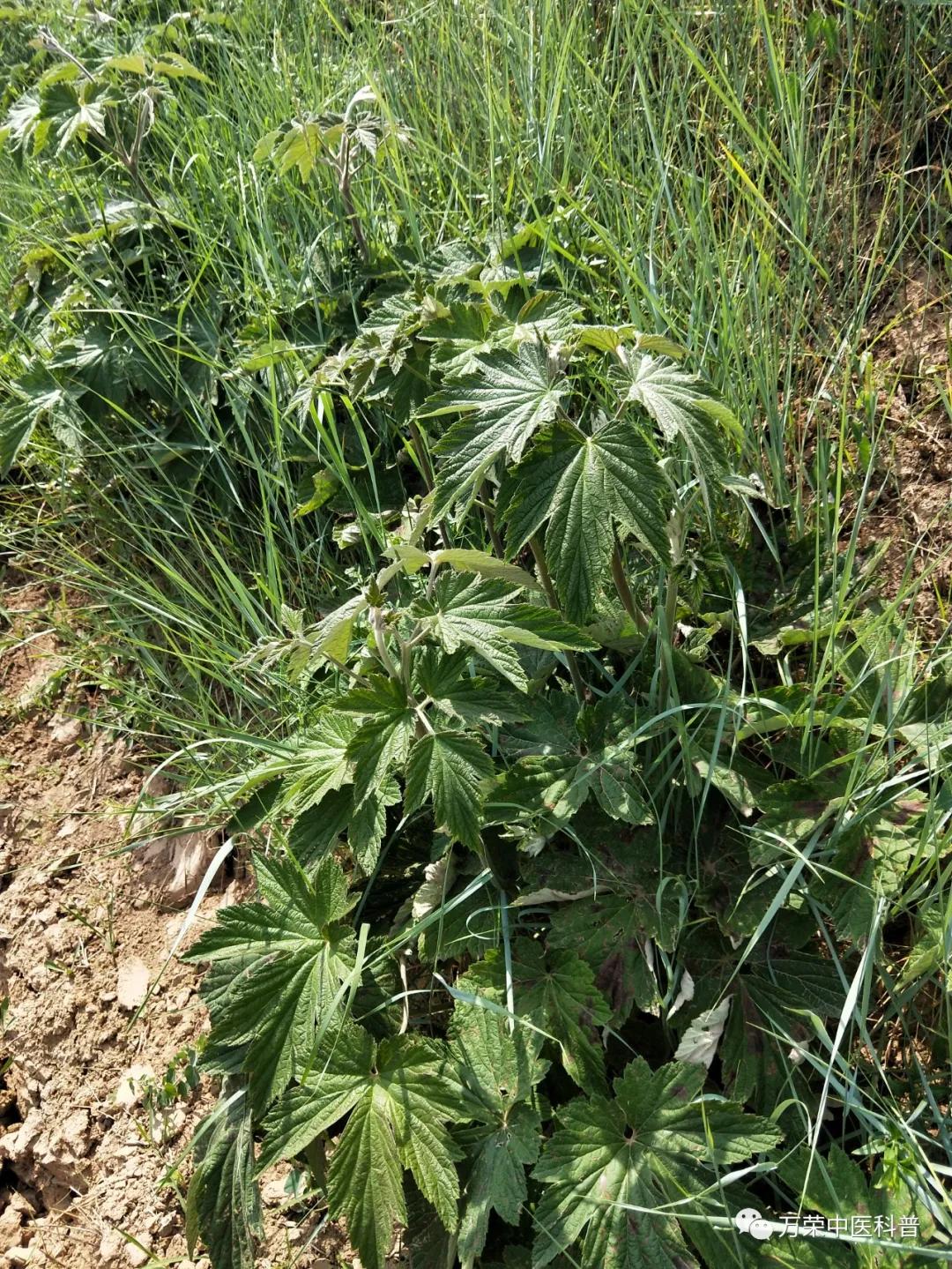 跟我回家在线免费看,跟我回家免费看