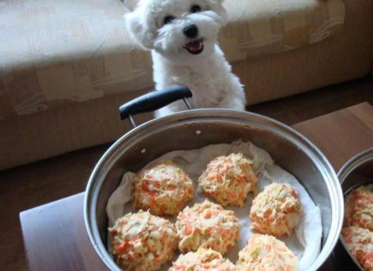 狗粮怎么挑选平价国产狗粮篇,如何帮狗狗挑选狗粮看配料表