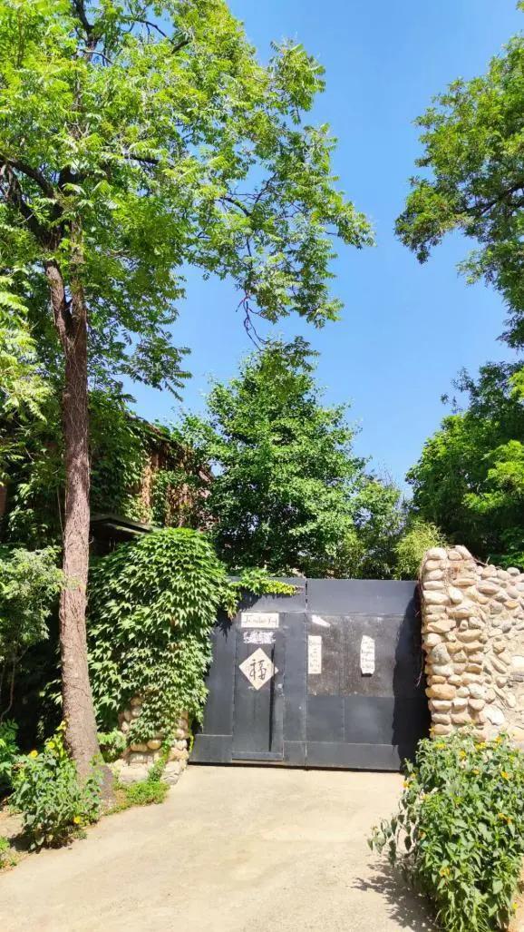 隐居在深山老林的艺术家,隐居深山的民间艺术家