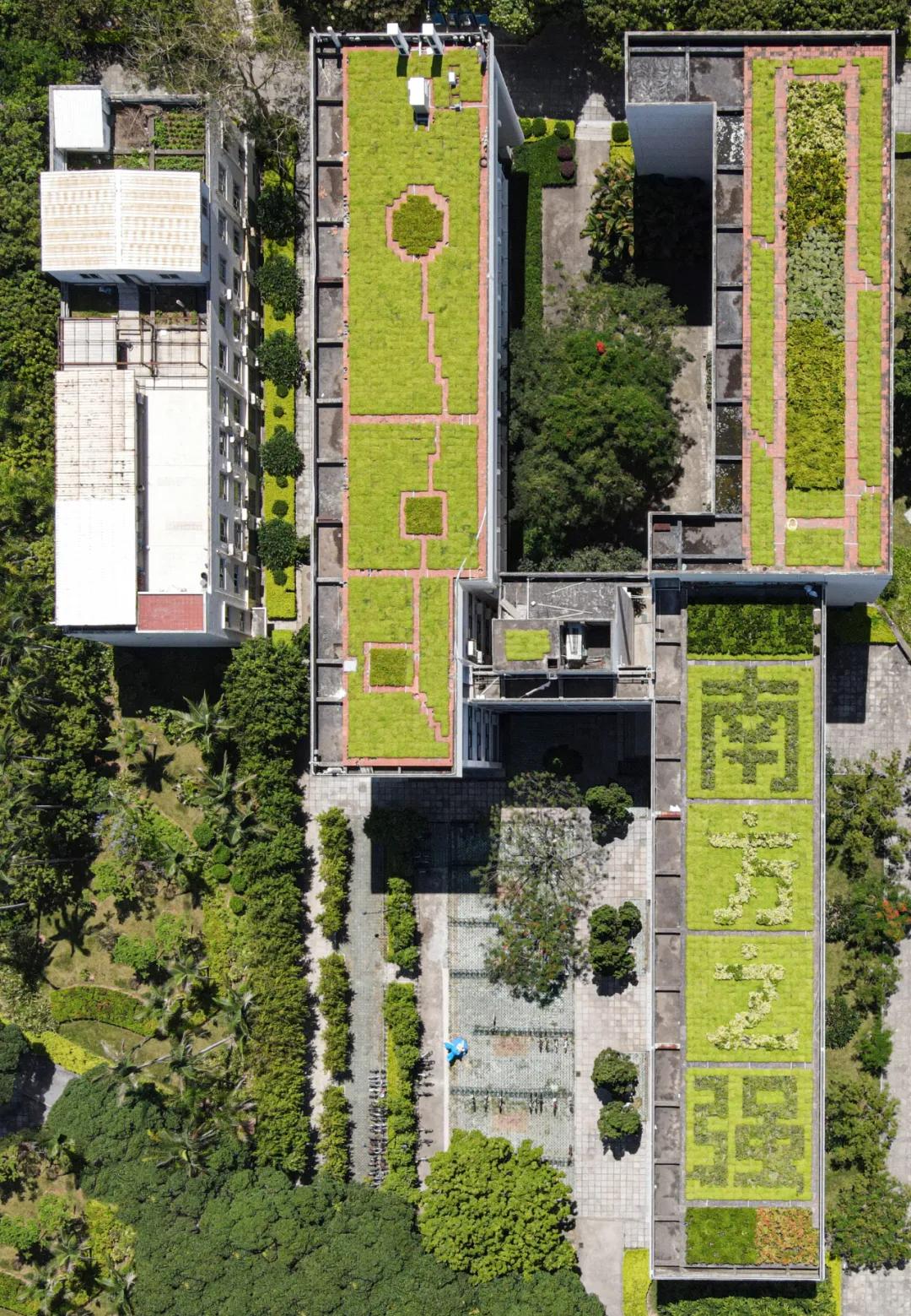 百年厦大视频,百年厦大纪录片