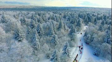 印象长白山森工地址,印象长白山森工怎么样