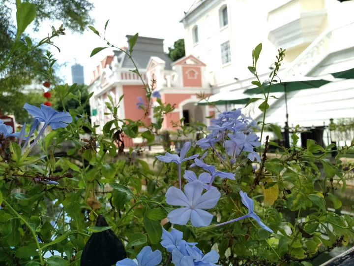 深圳欧洲印象开放时间,深圳欧洲印象要门票吗