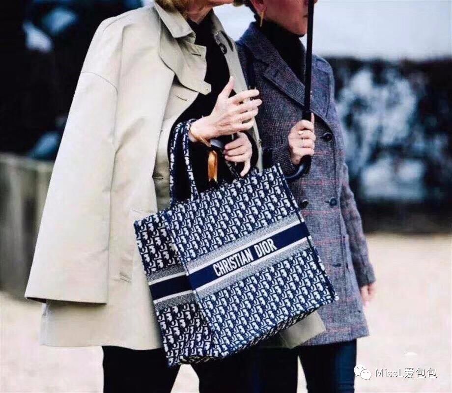 春游包斜挎帆布包,春游双肩包小众