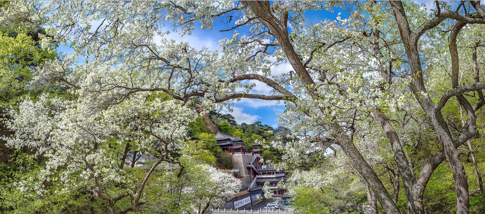 关东明珠，毓秀千山