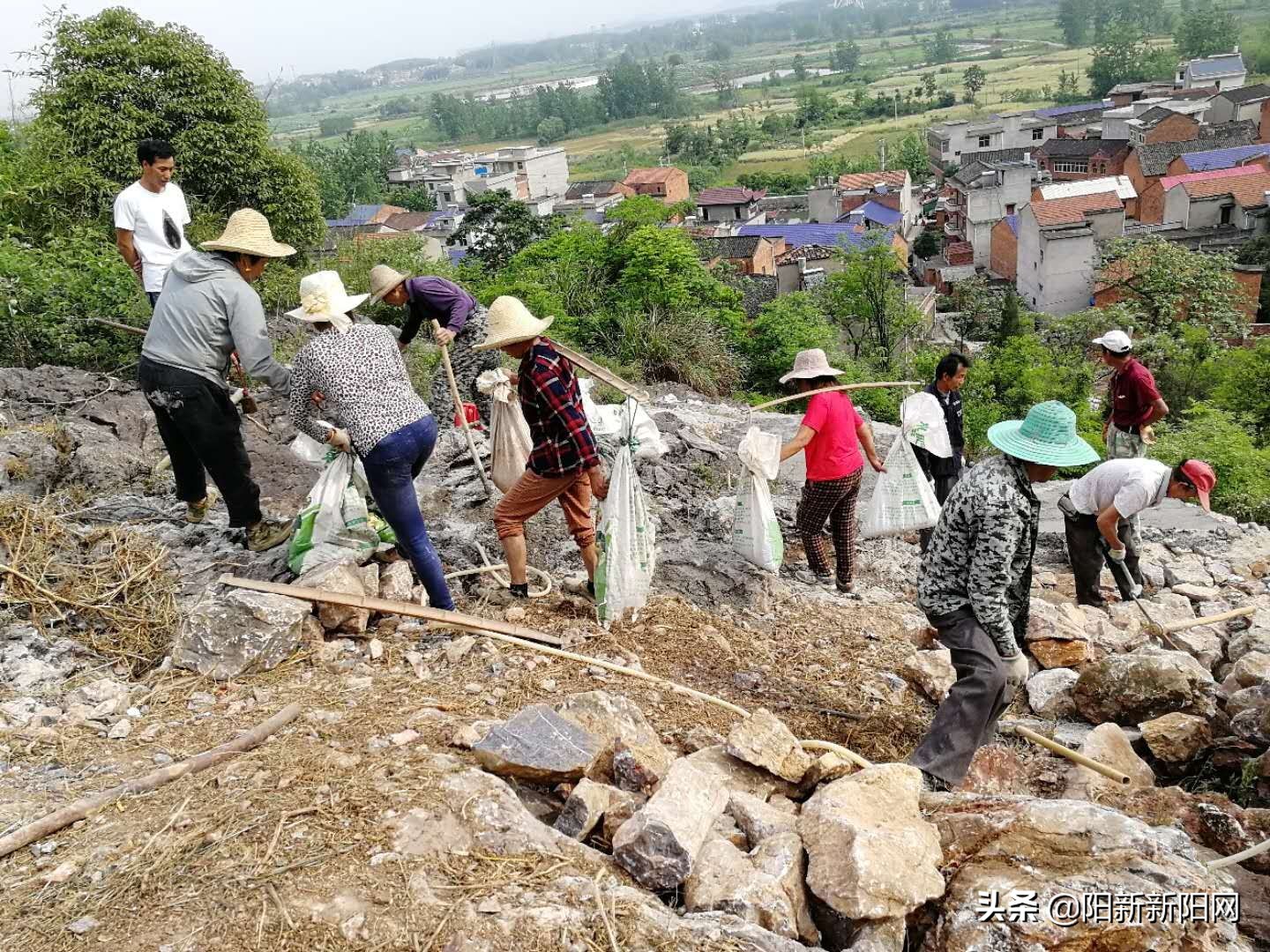 阳新县黄颡口镇发展,阳新县黄颡口镇项目