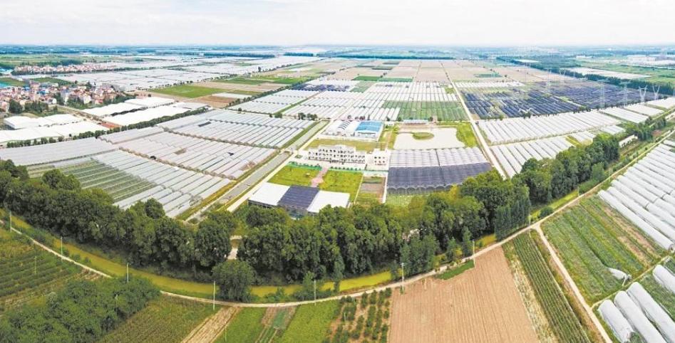 武汉东西湖蔡甸汉南,武汉知名农产品