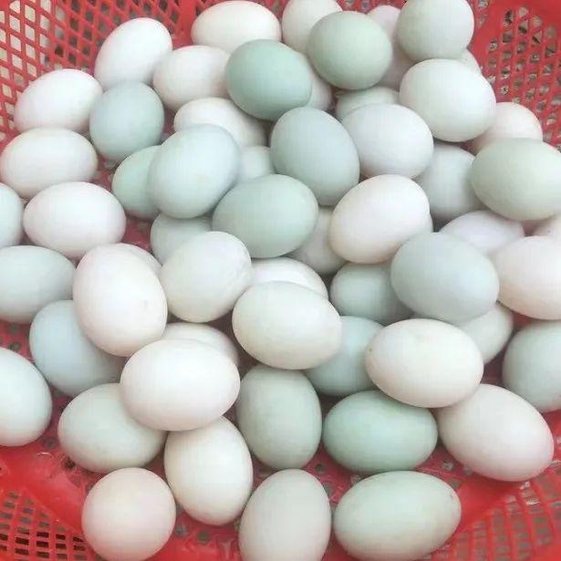 美心流心奶黄月饼2021官方价格,爆浆流心月饼合集