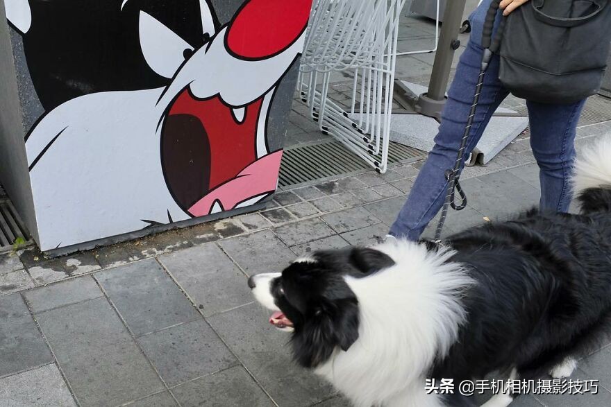 他被称为香港街拍之王：每一张照片都难以复制，诀窍在哪？