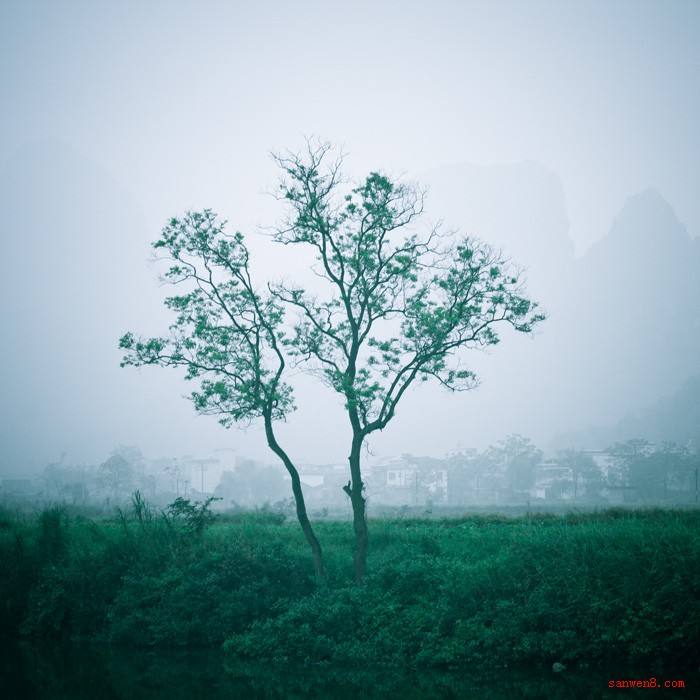 珍惜人生经典美文,情感美文让一段时光可以留住岁月