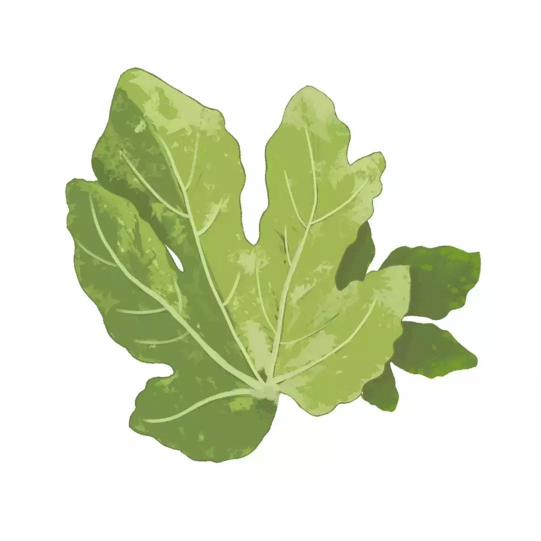 女性夏天适合用的香水推荐,春夏用哪款香水比较好