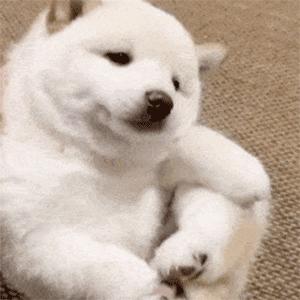 口服避孕药容易被误解,短效避孕药能改善皮肤吗