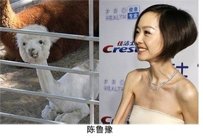 黄渤与孙红雷与动物撞脸瞬间,盘点明星撞脸黄渤