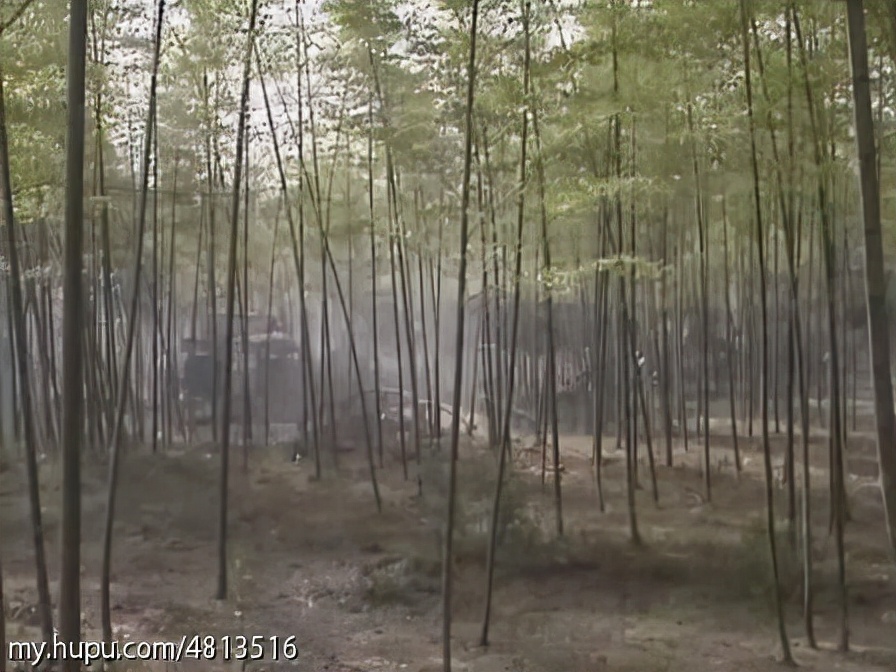 三国演义全集解说央视,三国演义连续剧片段赤壁鏖战