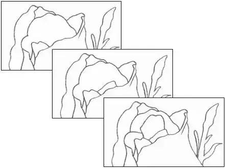 鐜懓绱犳弿鏁欑▼,绱犳弿鐜懓鐢绘硶鏁欑▼