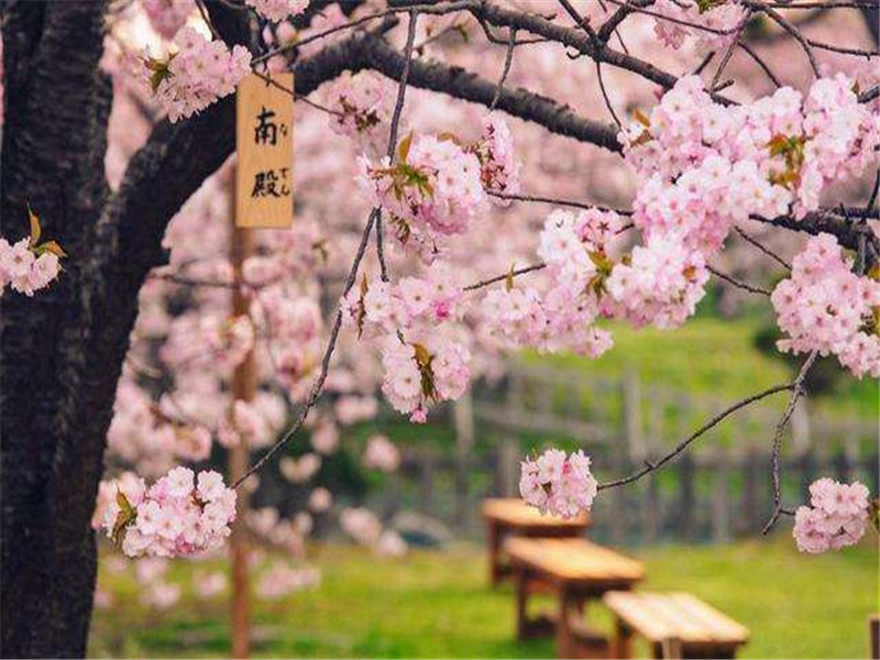 日语学习|8个表示“在…时候”的语法,全认识给你一颗棒棒糖