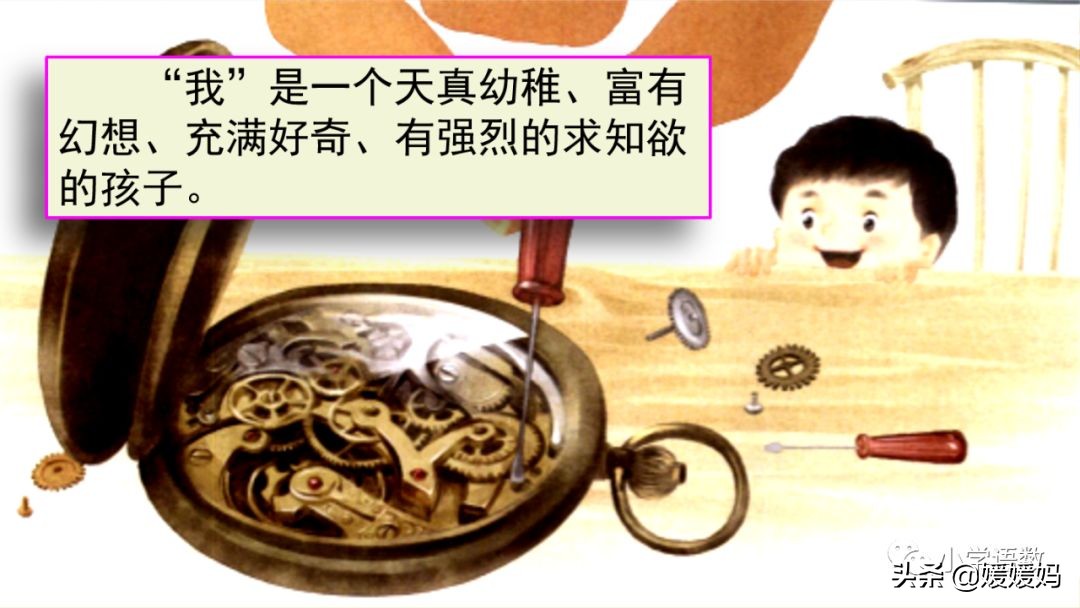 六年级下册语文表里的生物朗诵,六年级下册表里的生物小练笔400字