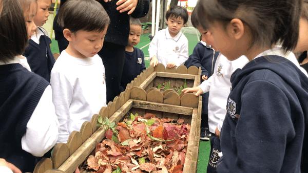 这所“相貌平平”的幼儿园，为什么宁波家长排着队想把孩子送进去