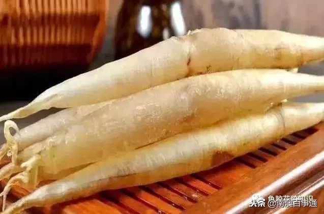 涨知识!鱼胶种类大全,不看亏大了!