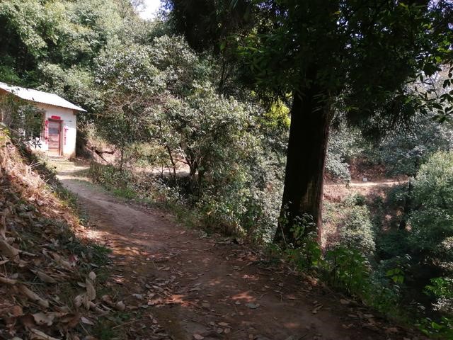 徐霞客游记完整视频,徐霞客游黄山后记全文