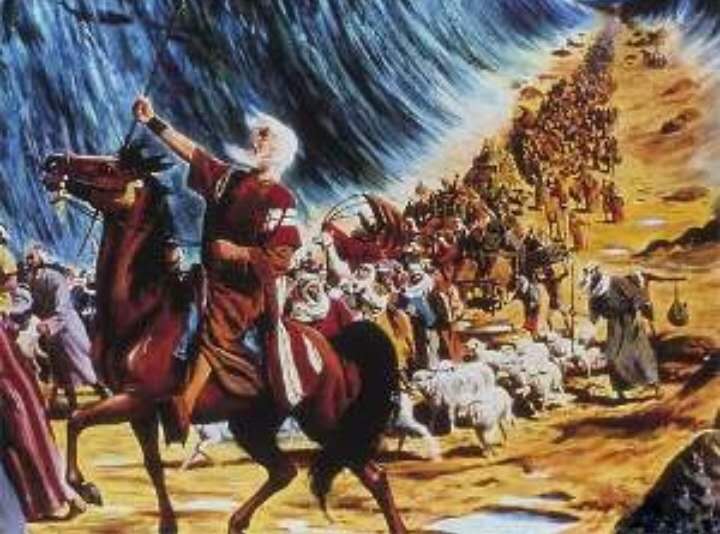 为什么犹太人很聪明却如此悲惨,犹太人那么聪明为何不容于世