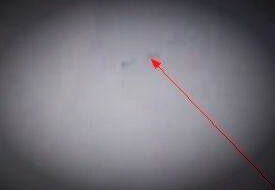 已灭绝的动物有龙吗,超自然动物未解之谜