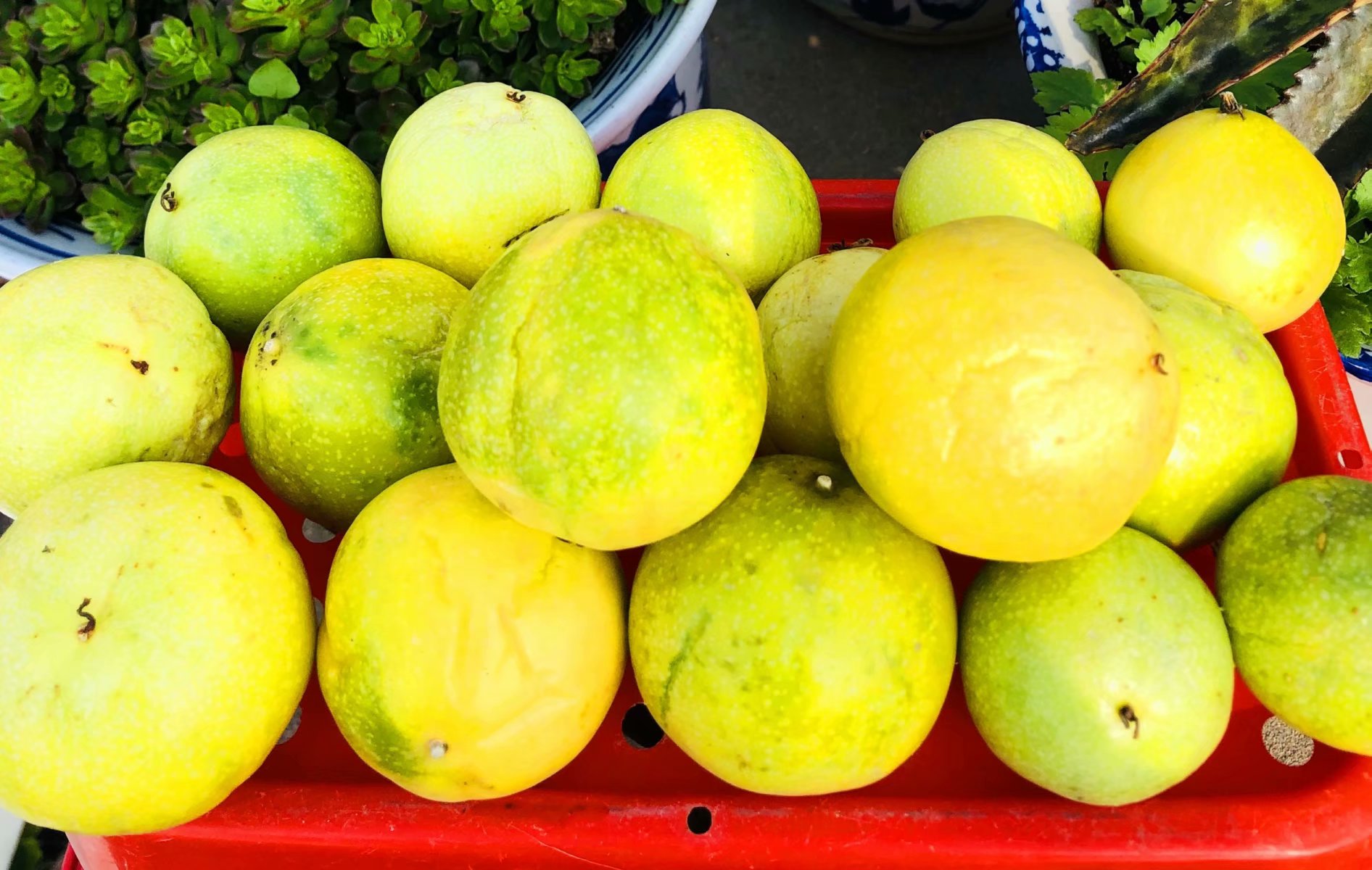 百香果果汁如何调配,石榴百香果苹果果汁