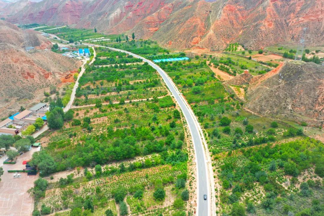 恐龙景区景点,恐龙谷景区景点介绍