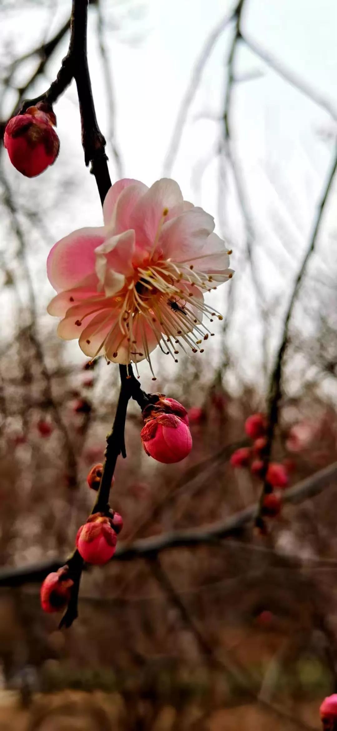 我的故事与回忆,我的故事与经历