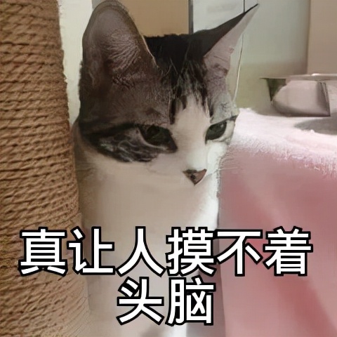 适合晚上喝的减肥果蔬汁,减肥必喝的果蔬汁清肠刮油排毒