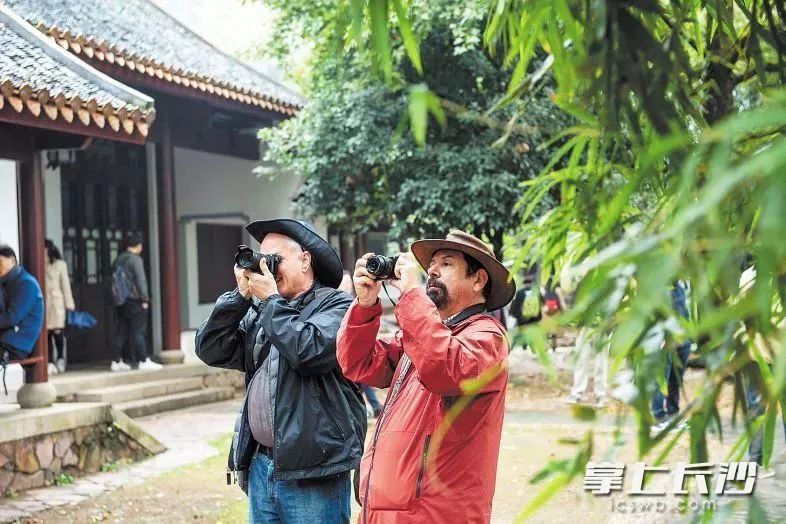 世界看湖南长沙为什么这么红,世界看湖南醴陵