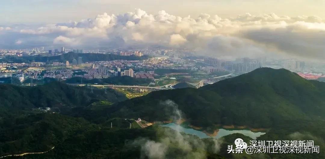 深圳医学科学院招生计划,深圳坪山医学科学院最新消息