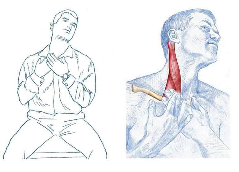 一个动作让你脖子变细,脖子又短又粗怎么办