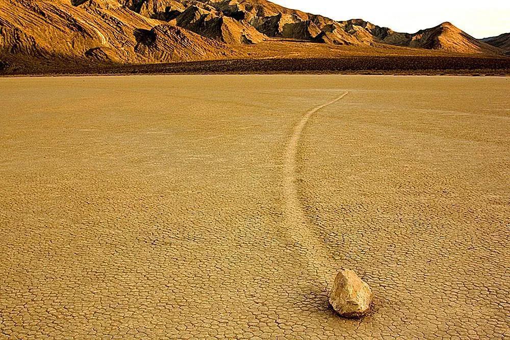 独存5万年仅剩38尾,号称沙漠独行者,魔鱂鱼的保护有多严格?