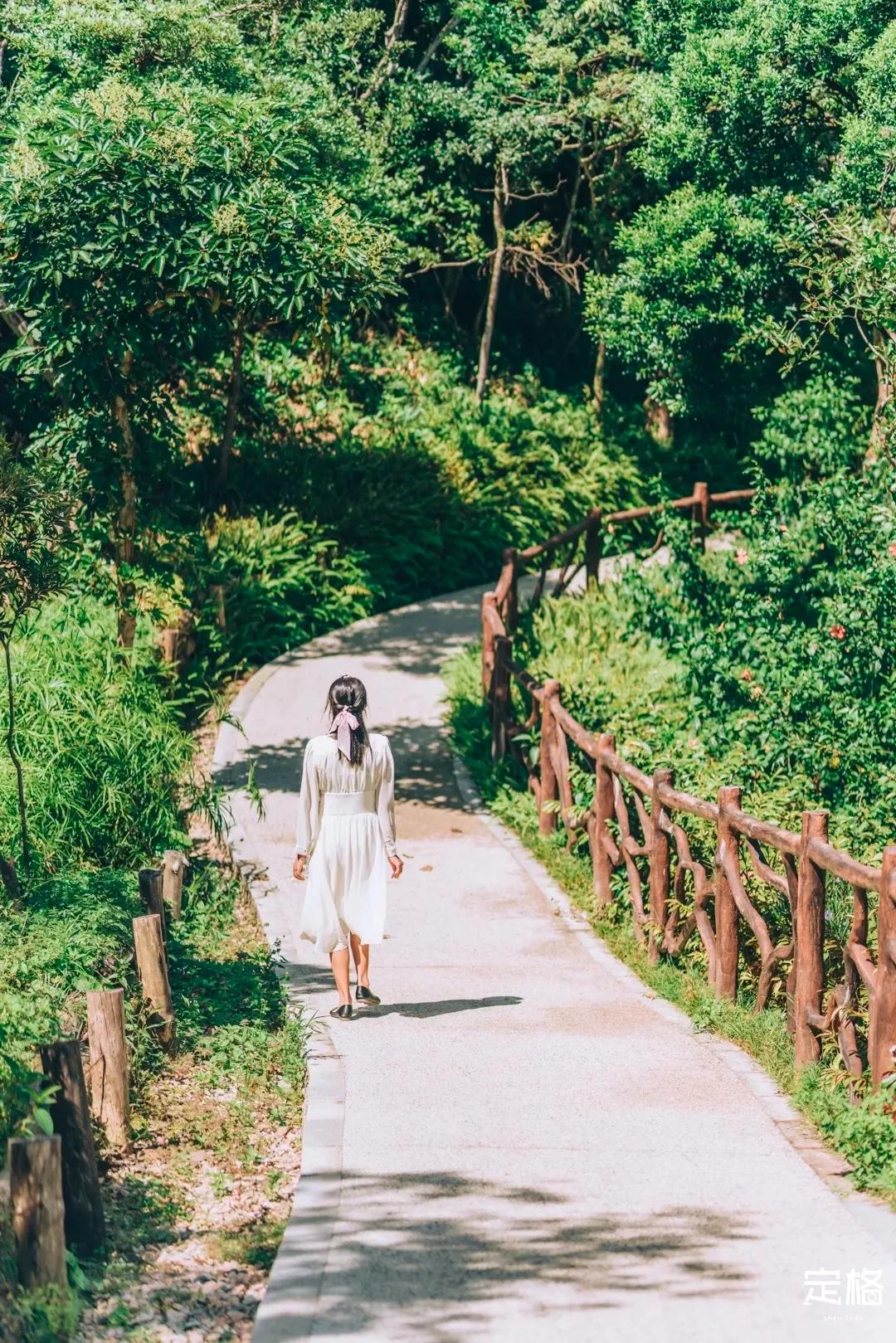 深圳周末打卡地点排行榜,深圳秋季打卡攻略