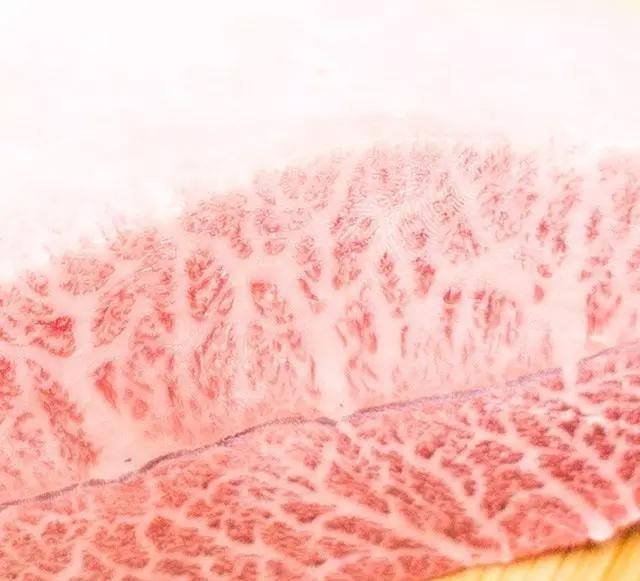 世界顶级牛肉是什么牛,世界最顶级的牛肉视频