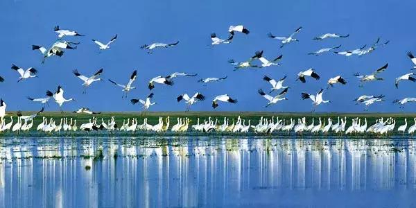 天津飞机票如何买便宜,飞机票白菜价格