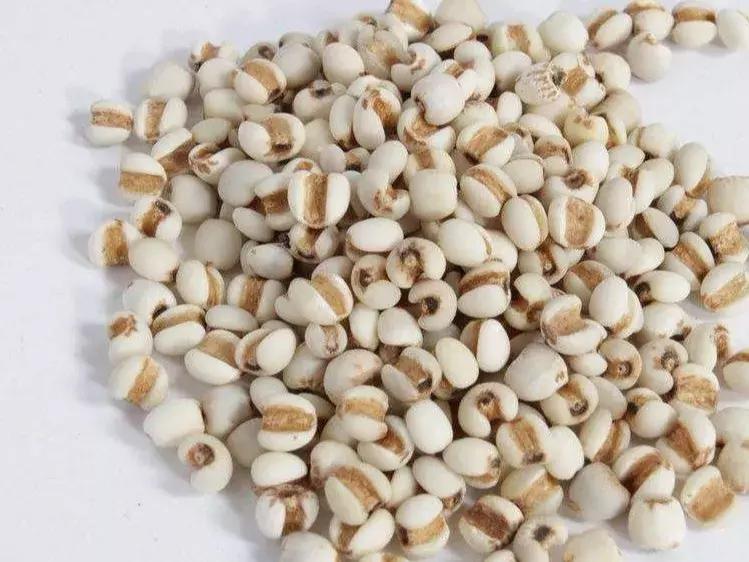 失眠注意力不集中湿气重,失眠脾胃不舒服感觉喘不过来气