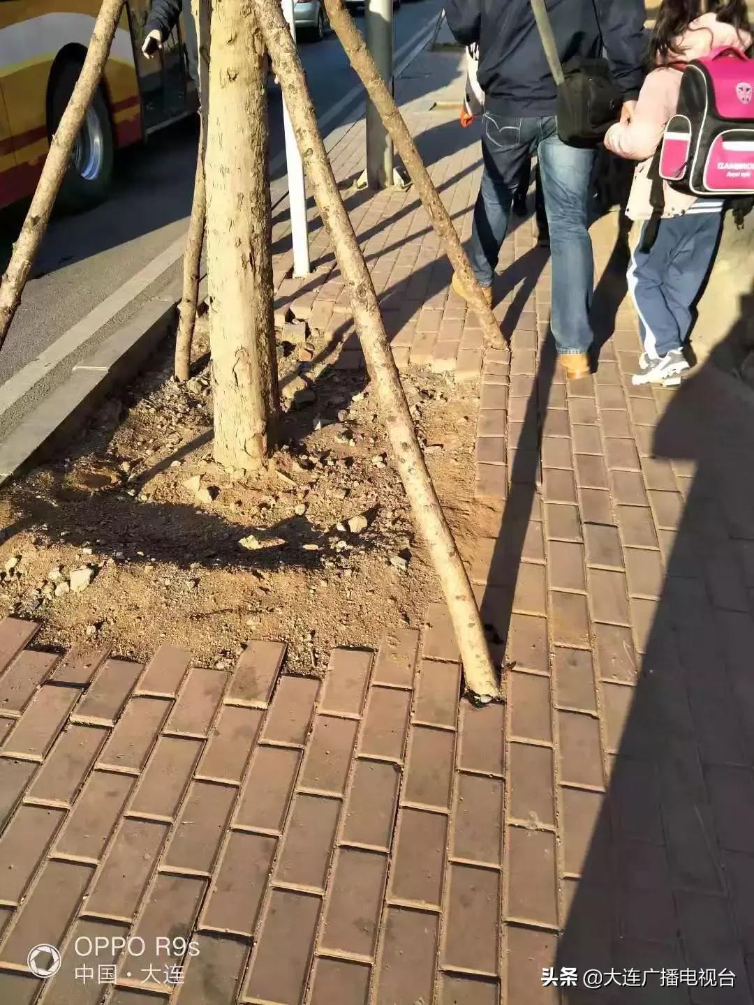 大连家长投诉：小学门前人行道最窄30厘米，太不安全！