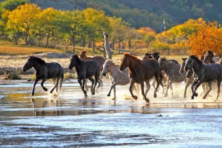 河北最牛的1个城市，承包了大半个中国的美