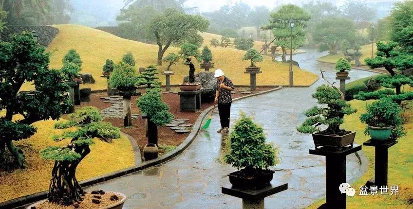 走进韩国思索之苑,这里算得上世界最美的庭园吗
